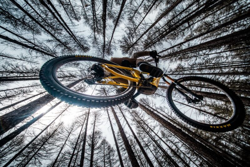 Orbea’s Wild TR is a Shorter Travel Bosch Sibling of the Avinox Equipped Wild LT eMTB