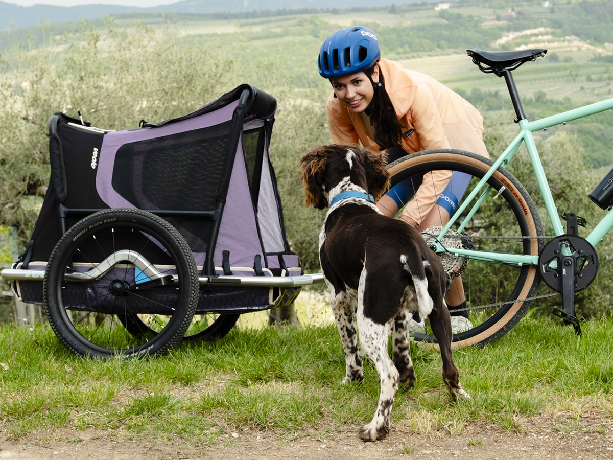 Veolo Trailer 2.0 is a lightweight, high-performance, active-suspension bicycle cargo trailer: Dog carrier
