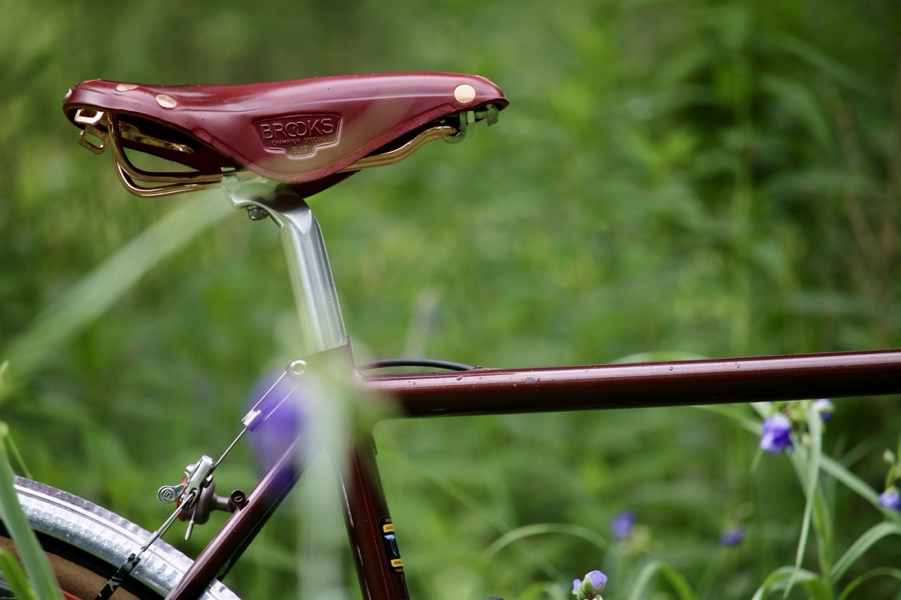 Wilde X Brooks B17 Bordeaux Special first pic