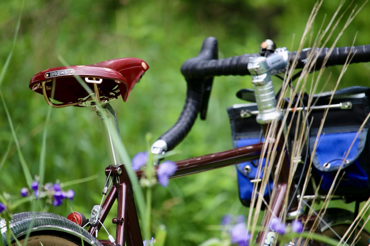 Wilde X Brooks B17 Bordeaux Special on bike weeds