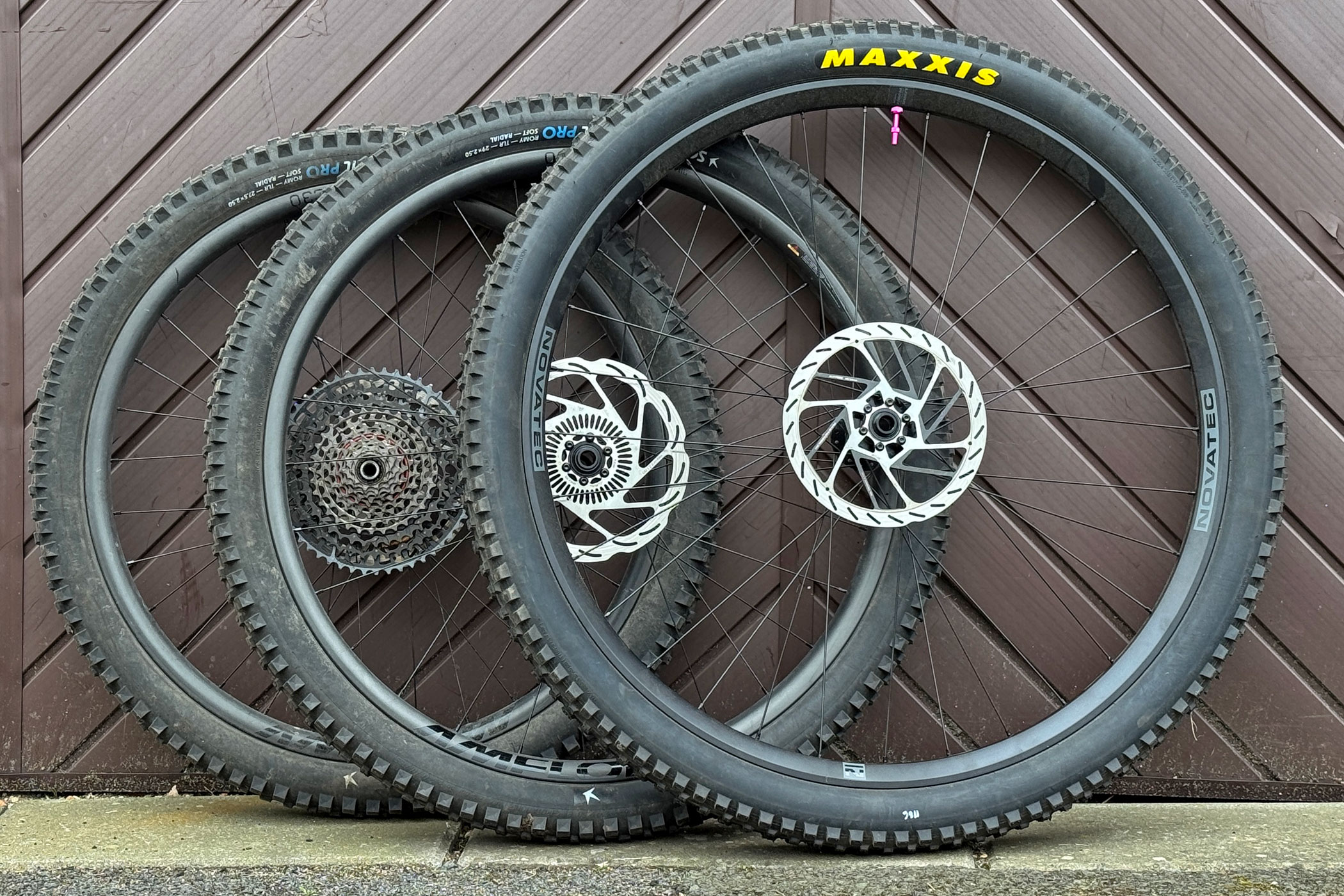 ny 32" x 2,4" Maxxis Dissector sammenlignet med 27,5 & 29" x 2,4" Schwalbe Romy