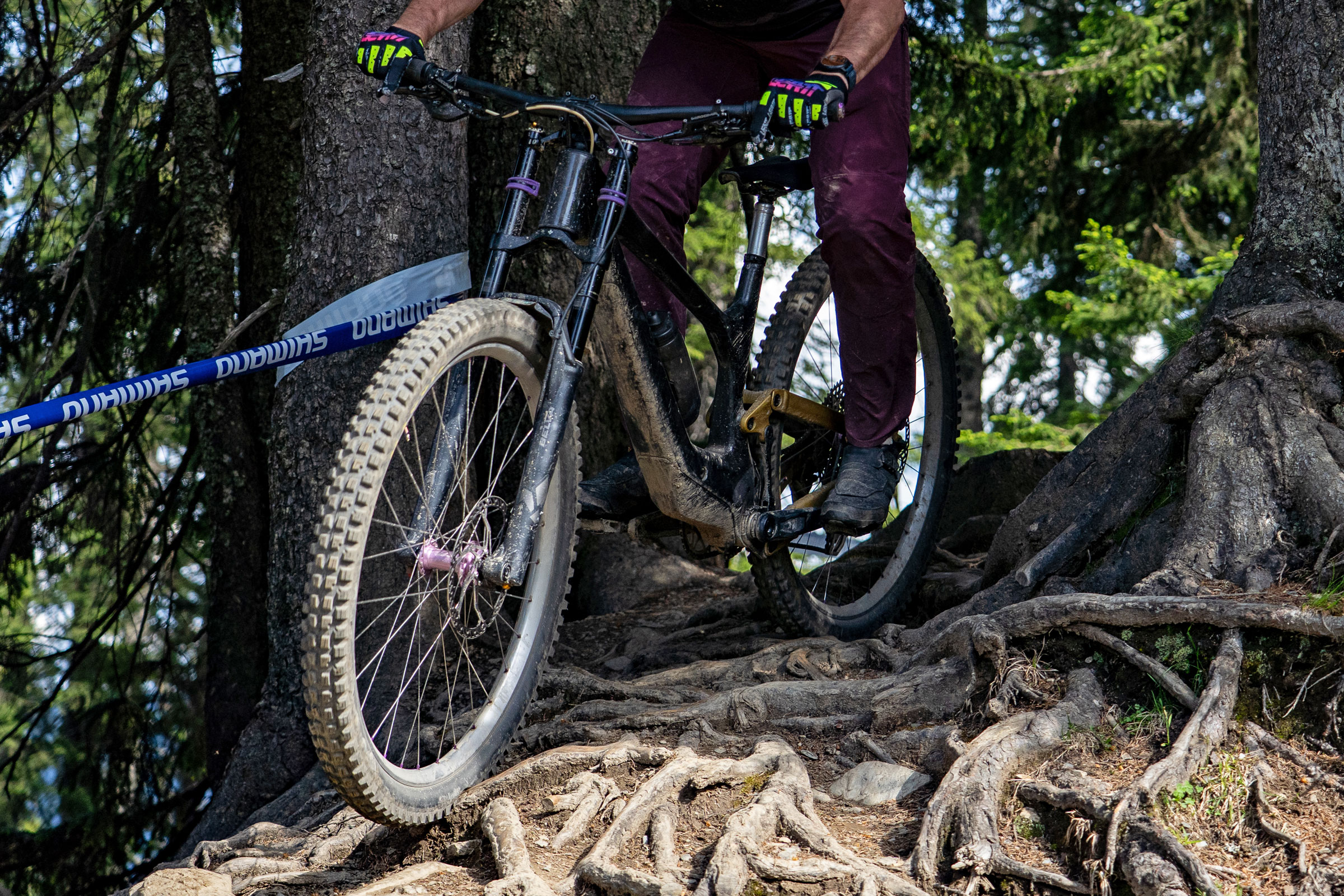 Maxxis Debuts a New Minion DHX For Dry, Plus All-New DH Casing For All: First Riding Review
