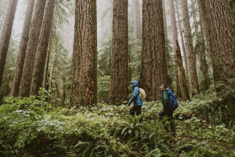 Grab REI Gear Deals in Its Sweeping Labor Day Sale