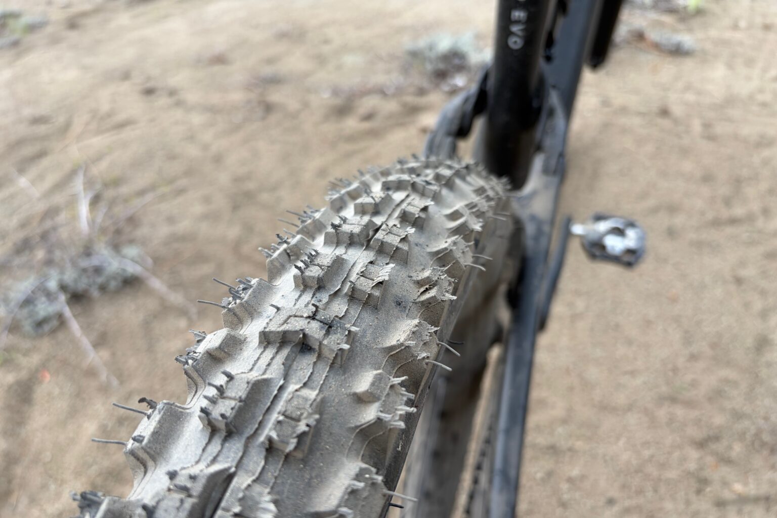 the cannibal grid gravity T9 rear tire on the levo 4 EVO