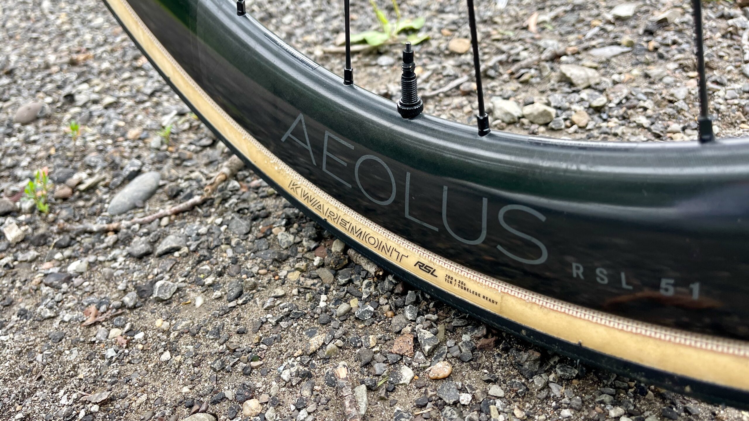 Trek Domane SLR 9 Review wheels tire