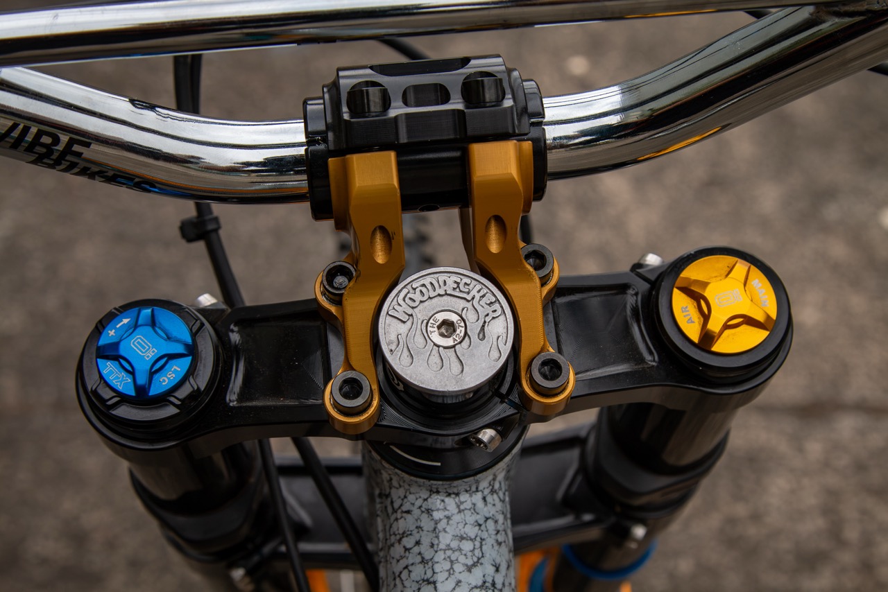 Woodpecker DH bike pinion