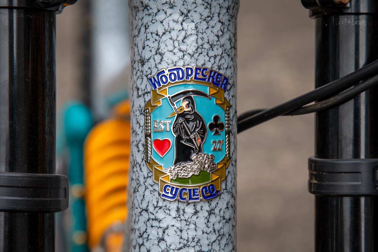 Woodpecker DH bike pinion head tube badge