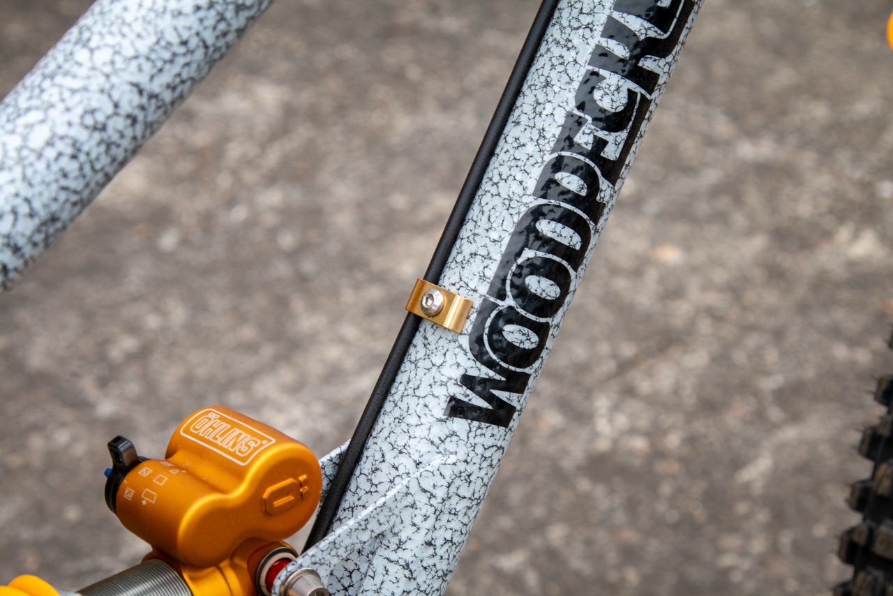 Woodpecker DH bike pinion