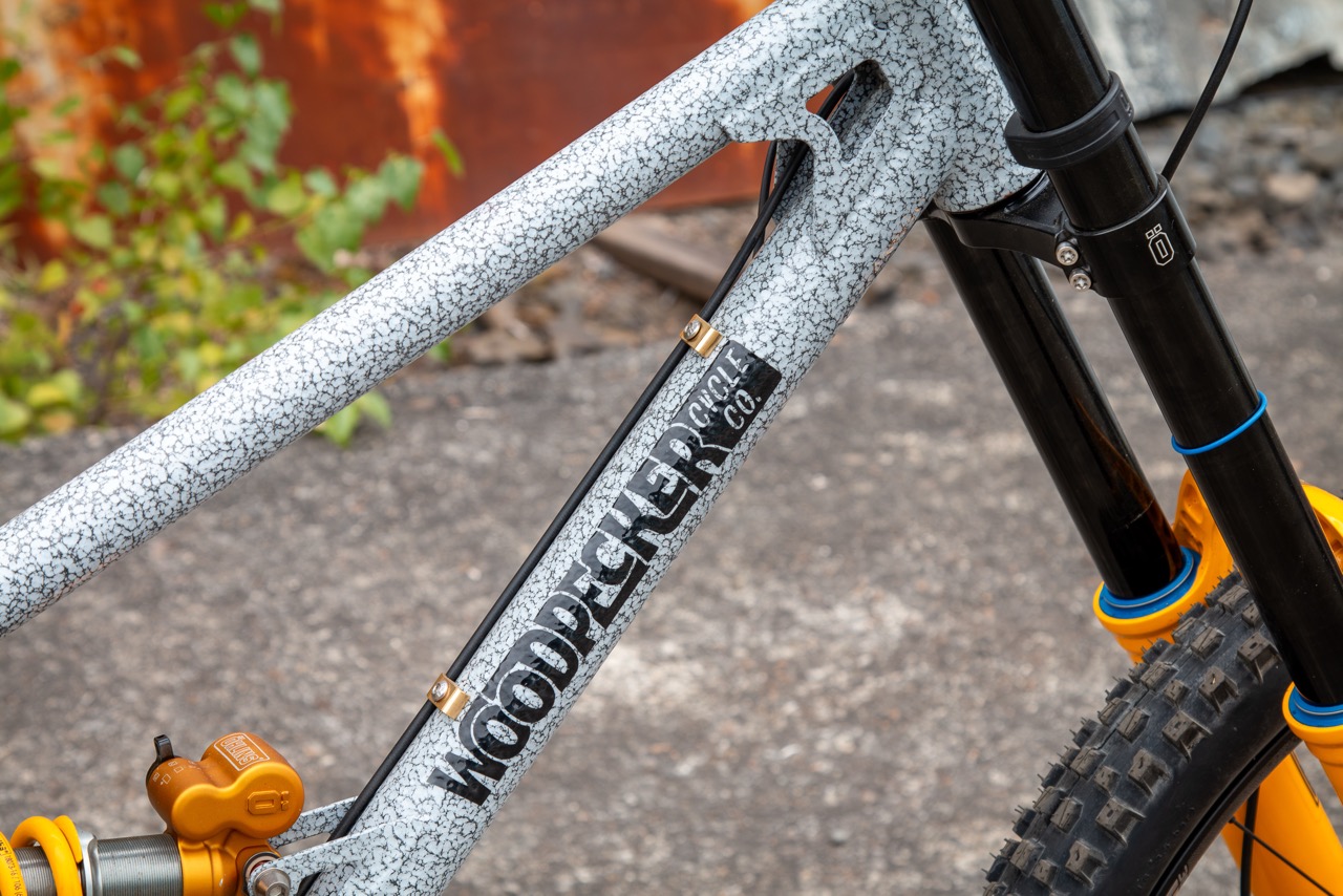 Woodpecker DH Bike downtube