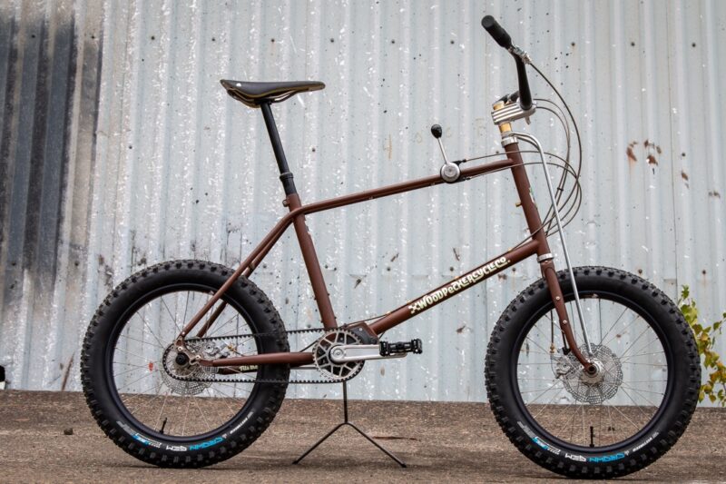 Stick Shift Pinion Mini Velo Proves Woodpecker’s Bikes Are as Fun as the Name