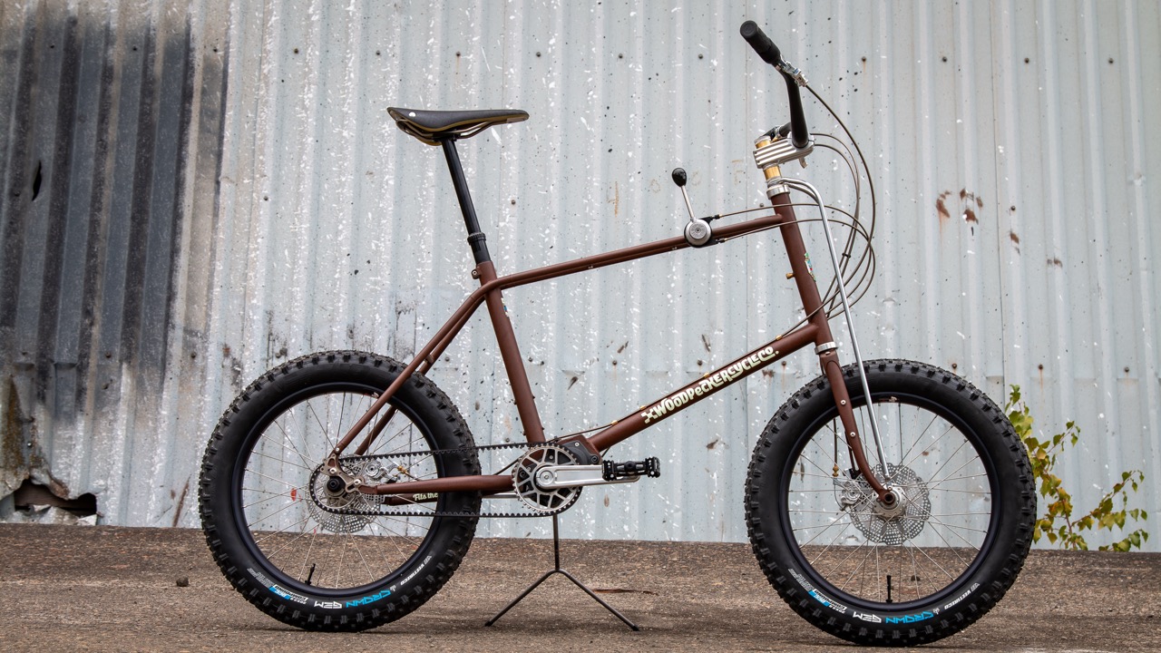 Stick Shift Pinion Mini Velo Proves Woodpecker’s Bikes Are as Fun as the Name