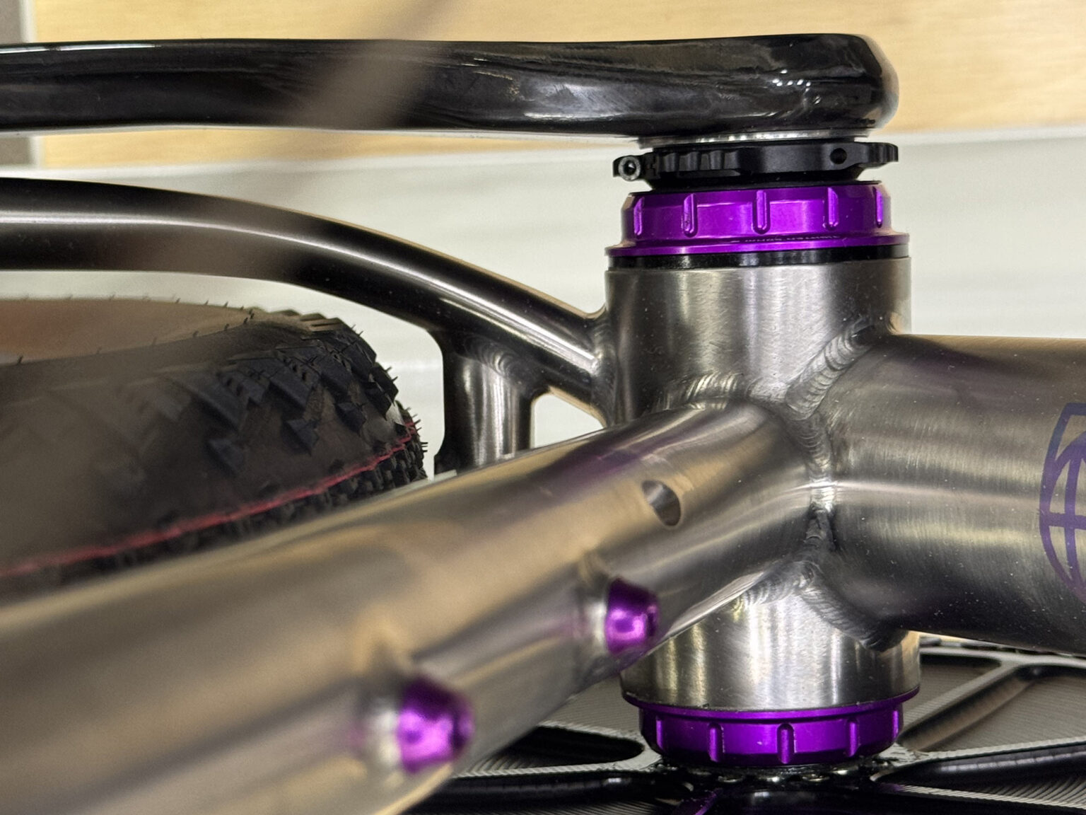 chainstay yoke closeup on donkey label titanium monster gravel bike.