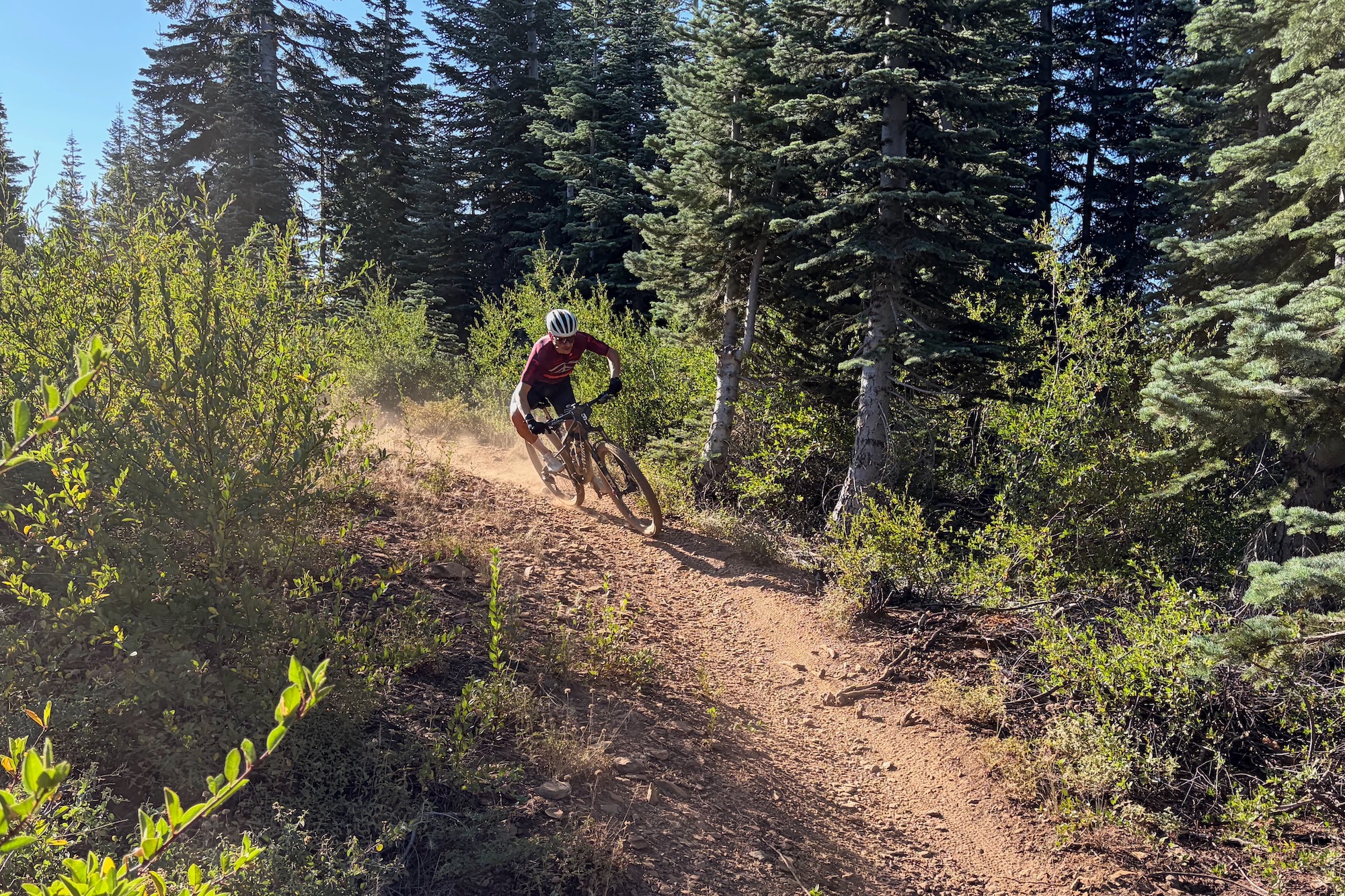 a mountain biker on the Downieville Downhill Course.