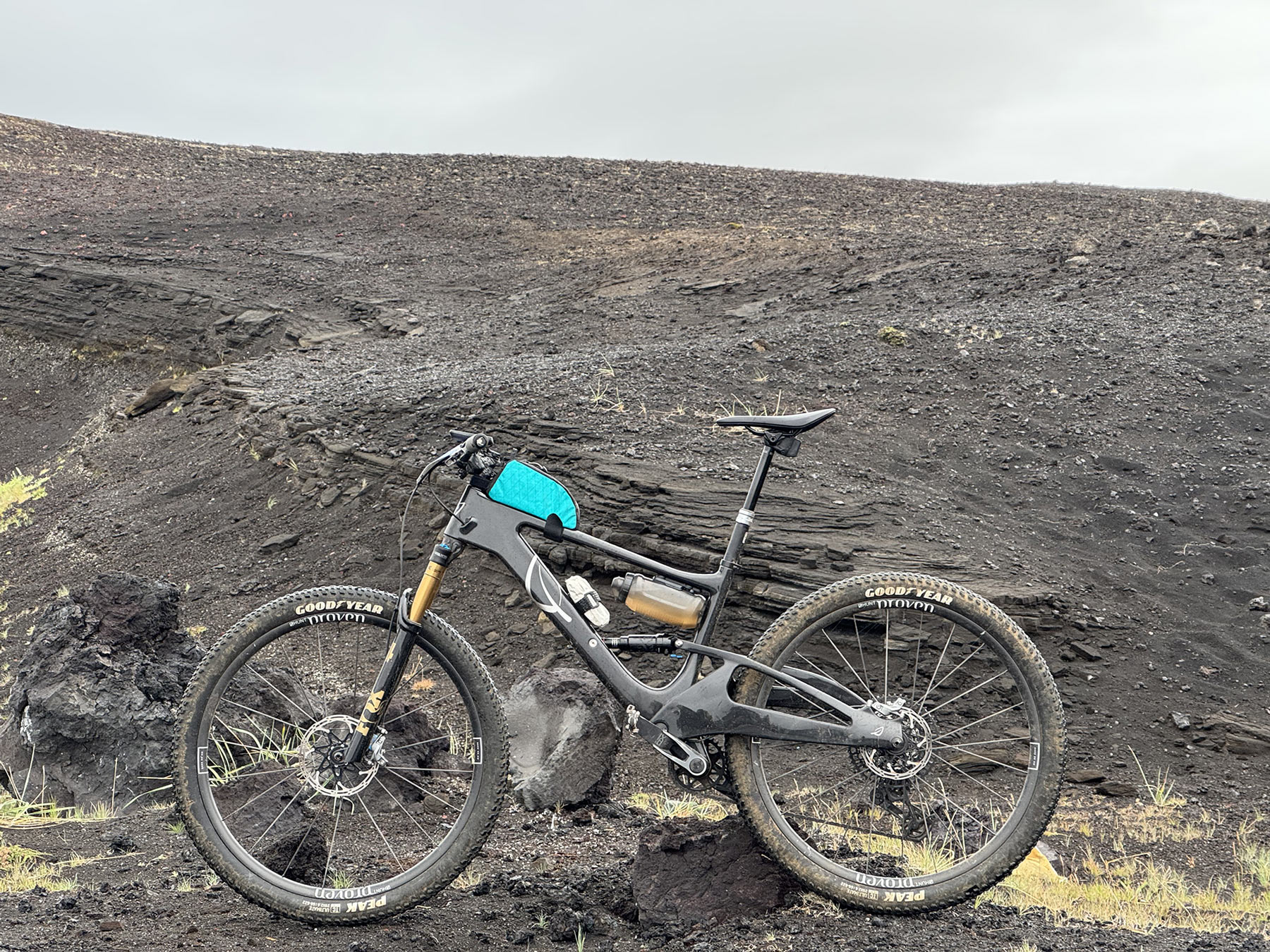 lauf elja mountain bike with fox 34 sl fork.
