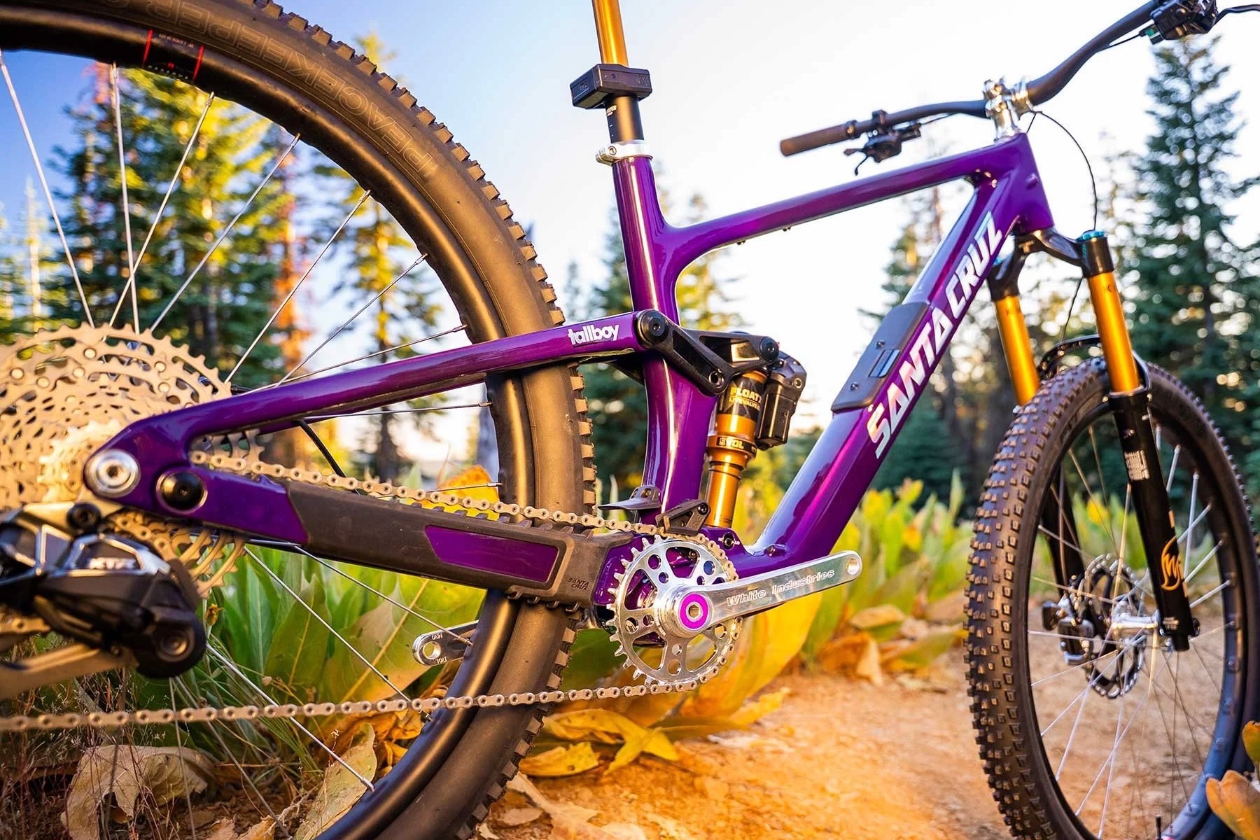 the custom Santa Cruz Tallboy that's up for grabs in the SBTS $5 a foot campaign