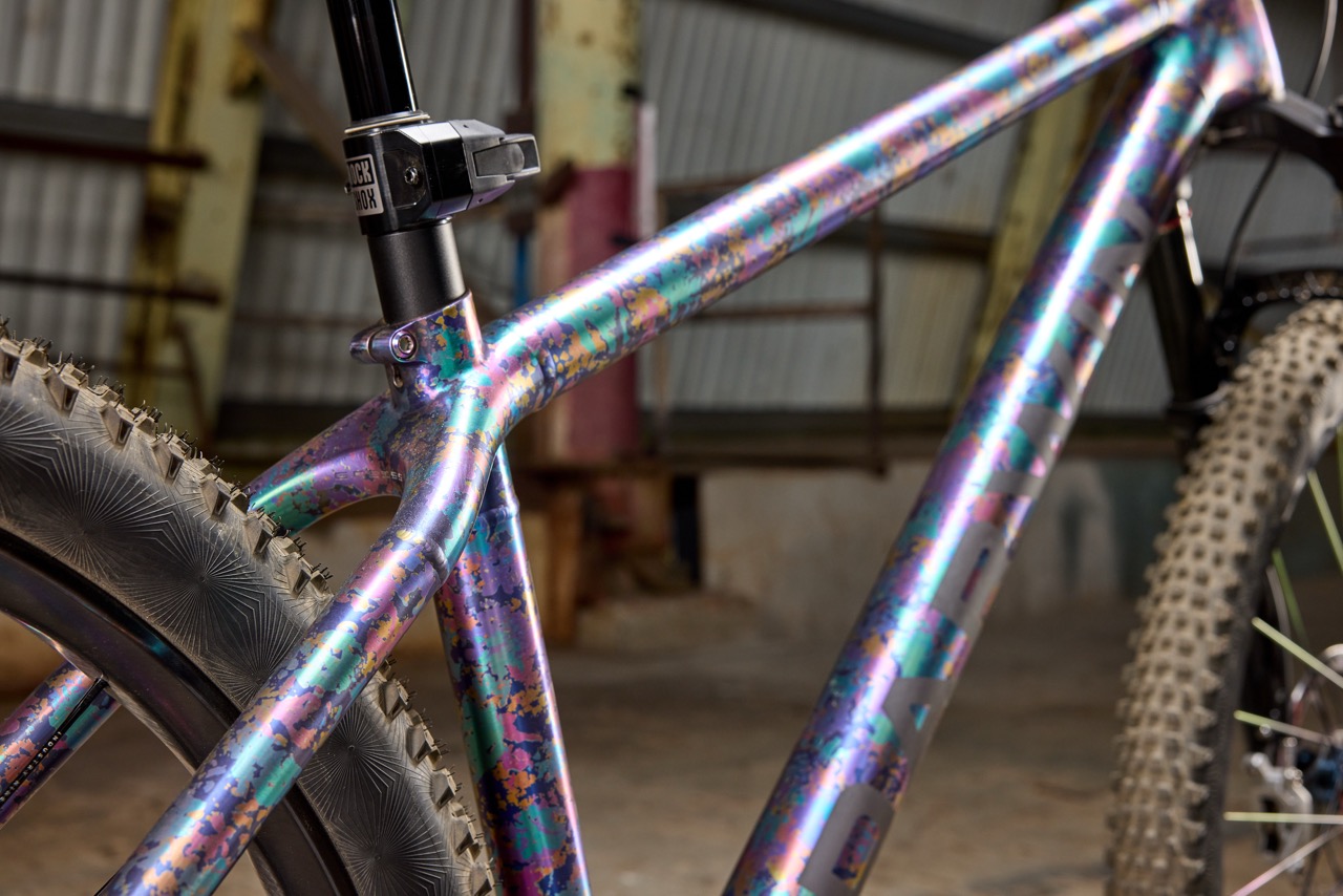 Darwin Design Bikes I9