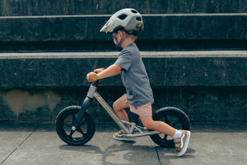 The Latest from Litespeed is the Rumpus, a $1,000 Handmade Titanium Balance Bike