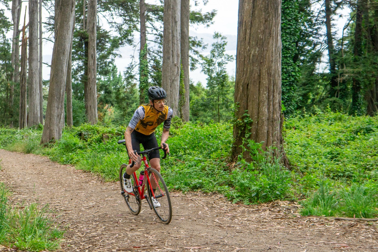 Ritchey Road Logic Signature dirt