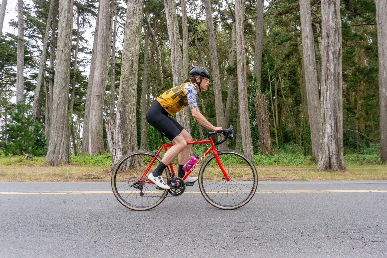 Ritchey Road Logic Signature trees