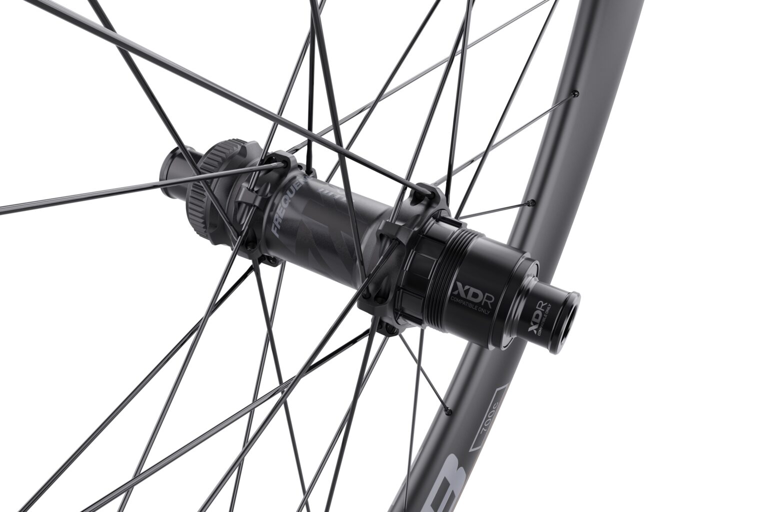 studio image of the rear WTB Frequency 7X hub