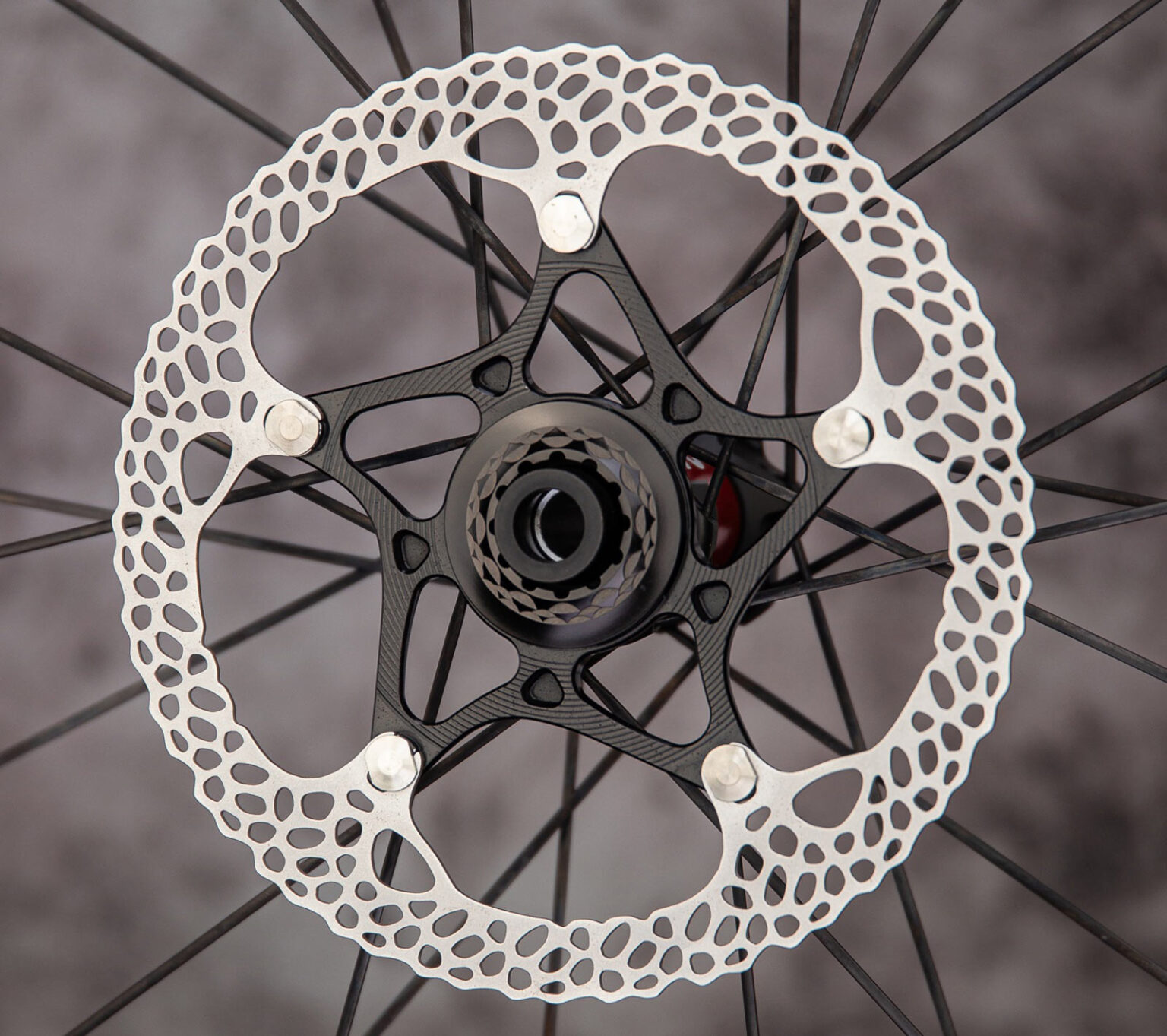 absoluteBLACK raven SL disc brake rotor.