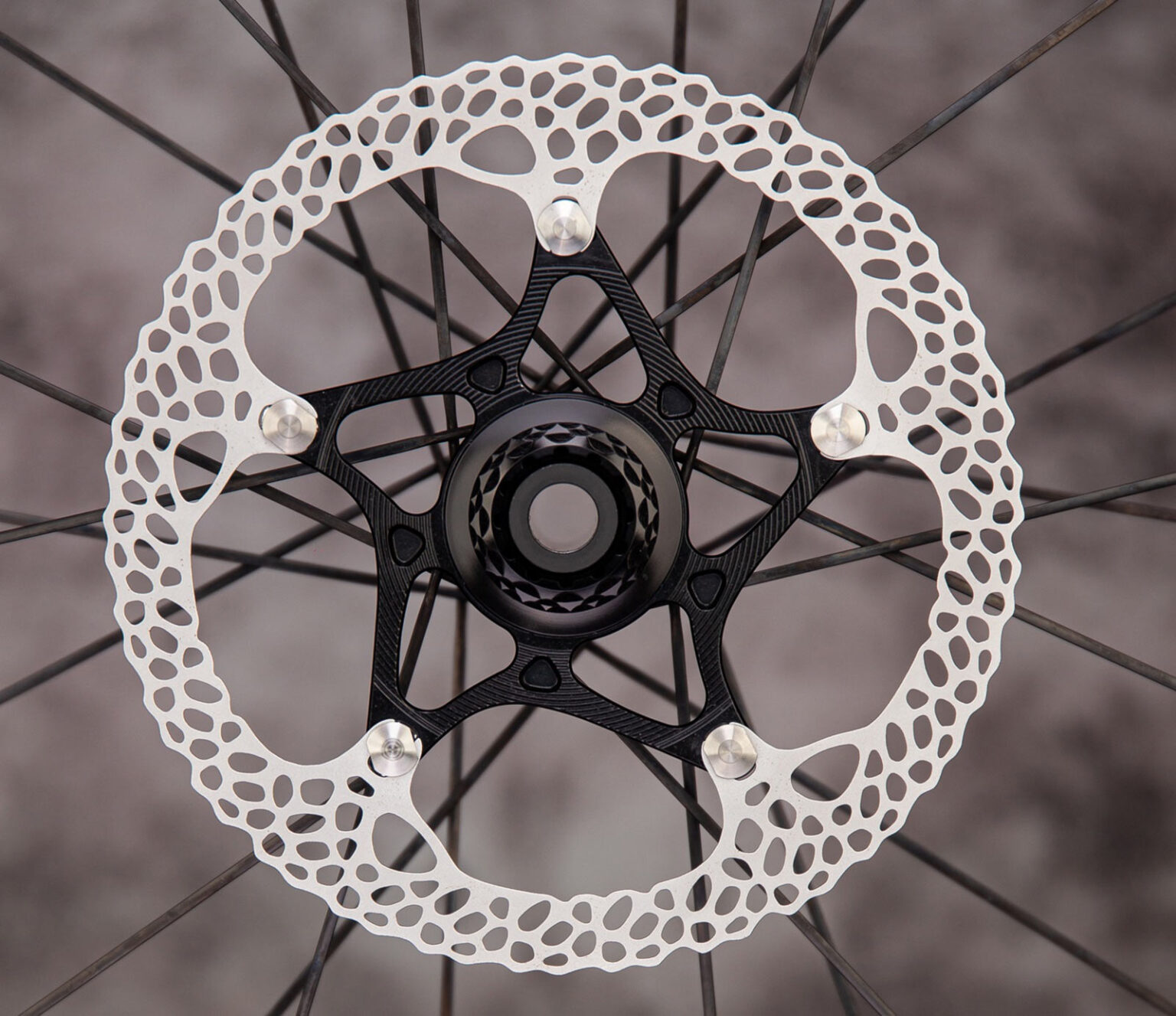 absoluteBLACK raven SL disc brake rotor.