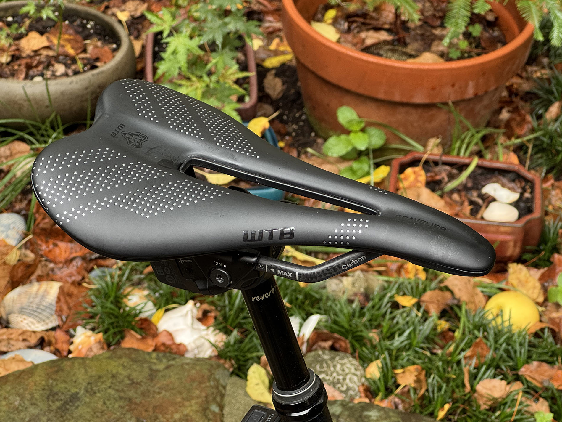 WTB Gravelier Saddle Proves “Gravel-Specific” isn’t Just Marketing