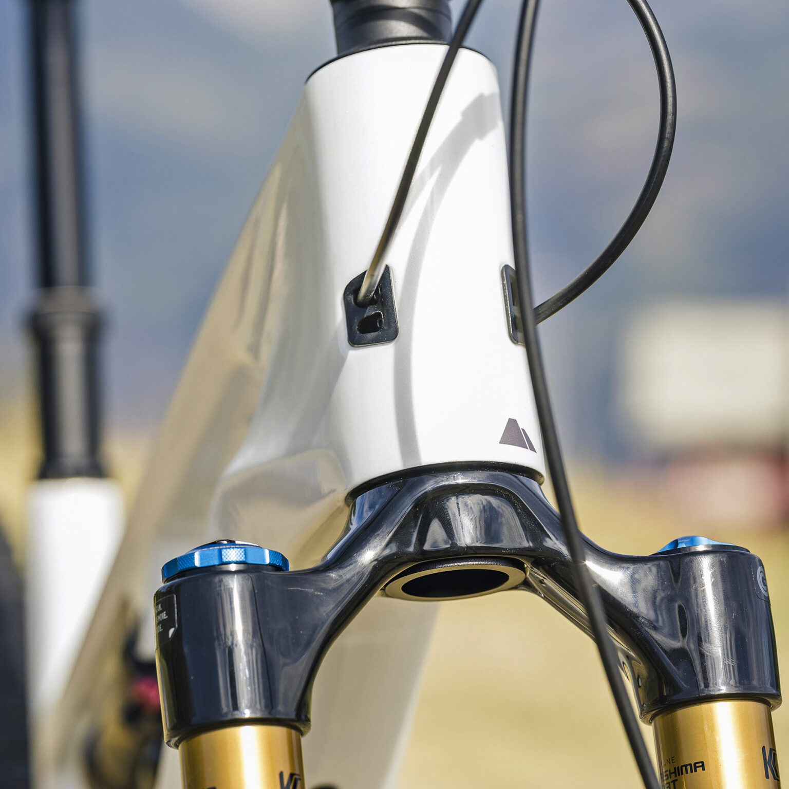 2027 Spectral:On Avinox M2S all-mountain eMTB; headtube cable routing