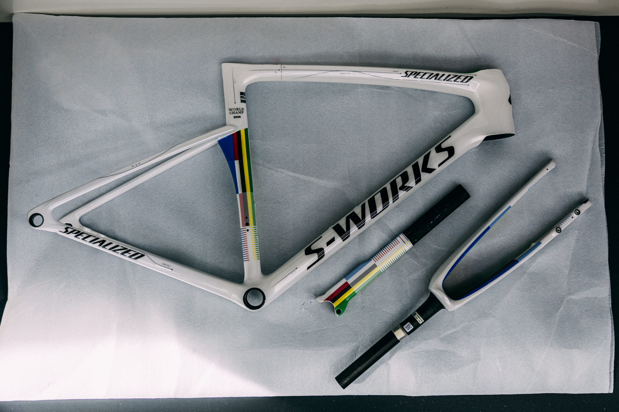 Speialized Tarmac SL9 of 2026 Road World Champion Demi Vollering