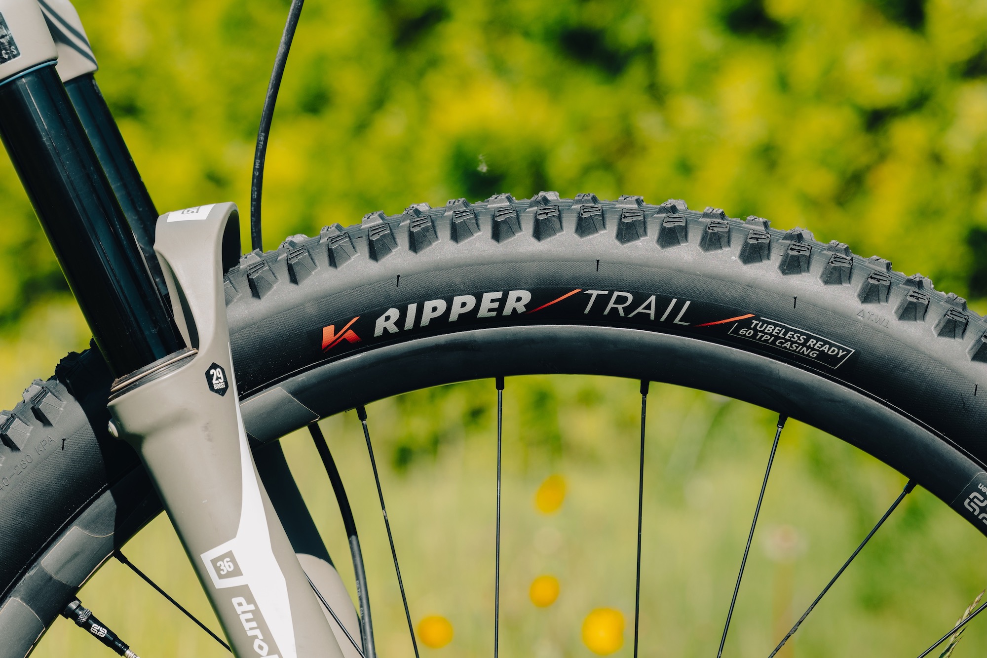 First Look: Kenda Introduces New Ripper Trail to Its K-Series MTB Tire Lineup